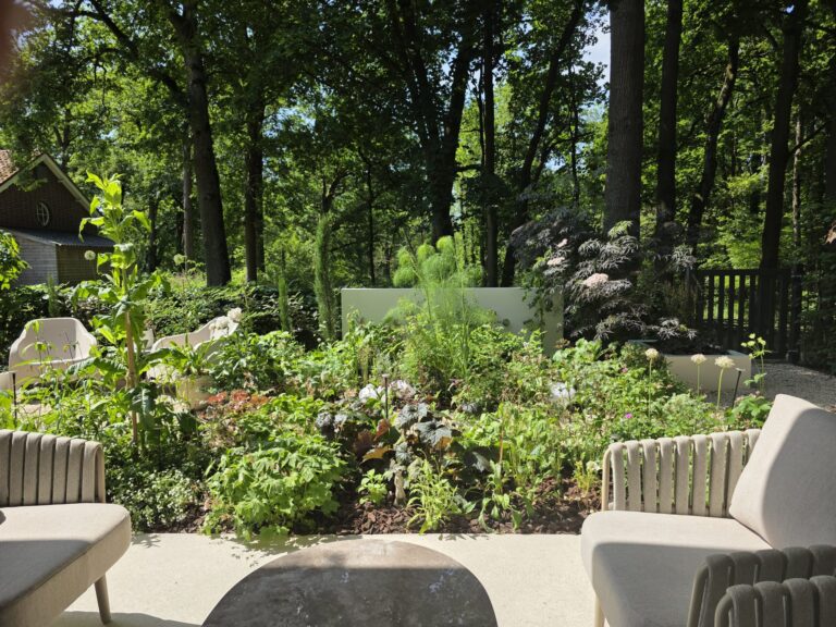 luxe moderne tuin moderne tuin met beplanting witte tuin tuinontwerp moderne tuin weelderige beplanting ecologisch tuinontwerp moderne tuin inspiratie