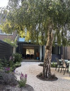 Gerealiseerde achtertuin in Haarlem met organische grindverharding, bestaande treurboom, natuurlijke zichtlijn en schaduwrijke biodivers beplante borders.