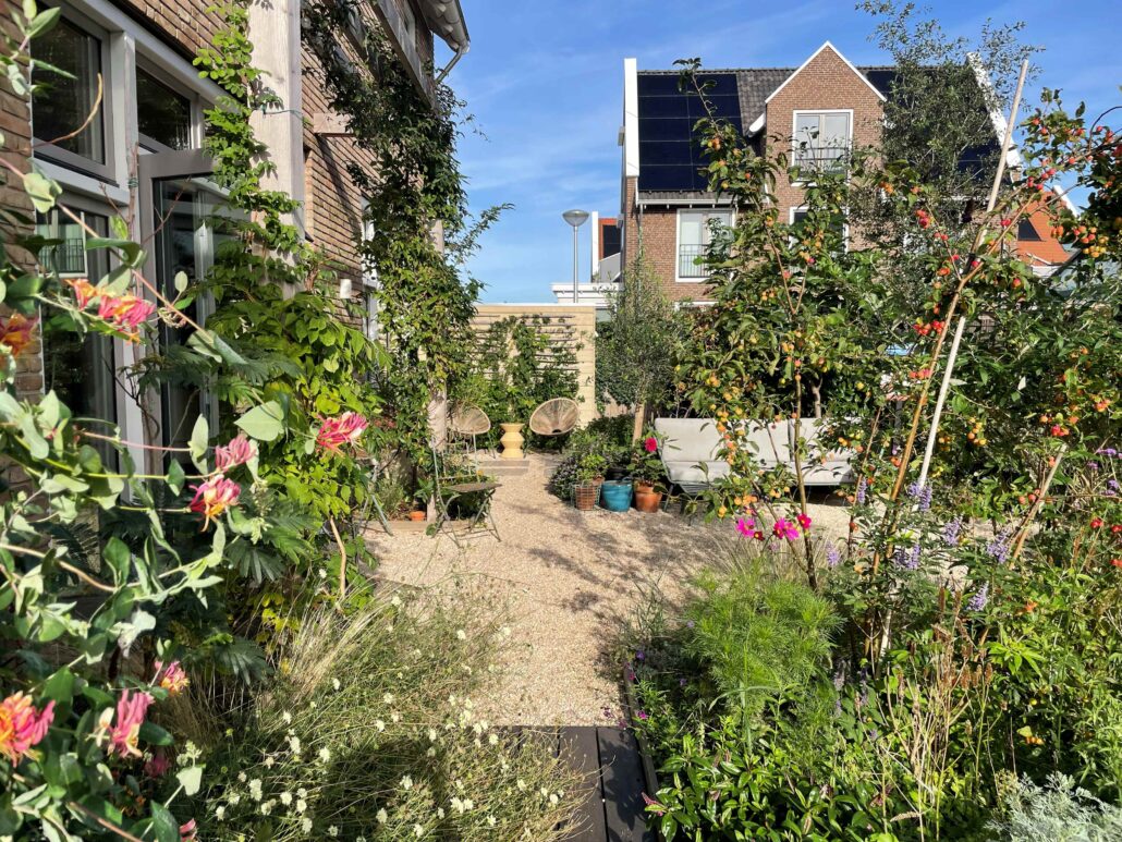 Pergola begeleidt klimplanten langs de gevel